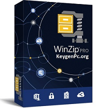 WinZip Pro 27.0 Build 15240 Crack + Activation Code Download